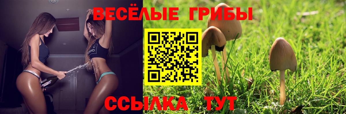 Ступино  Галлюциногенные грибы прущие грибы  Вход с VPN 