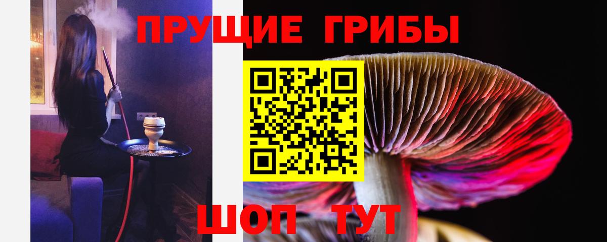 Псилоцибиновые грибы GOLDEN TEACHER Ступино